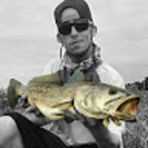 Meet your Posher, Nicholas - Picture 1 of 1